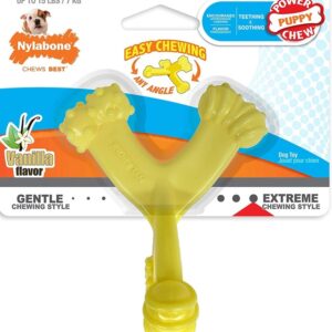 Nylabone Puppy Power Chew Axis Bone, Vanilla Regular