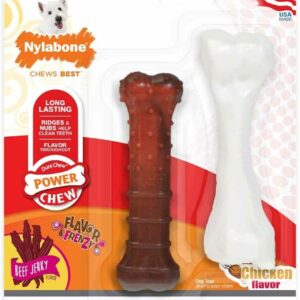 Nylabone Beefy Twin Pack, Beef Jerky & Chicken Regular