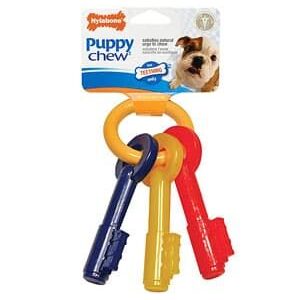 Nylabone Puppy Chew Teething Keys X-Small