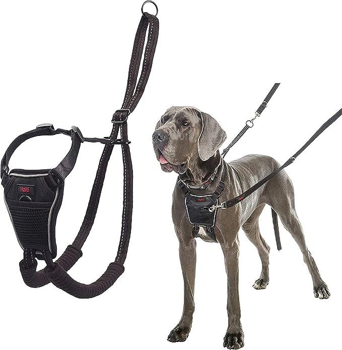 17123905261851666663.jpg Coa Halti No Pull Harness Medium - Image 1