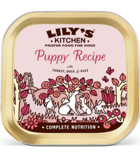 1714632085481985708.png Lily's Kitchen Turkey & Duck Recipe Puppy Food (150g) - Image 1