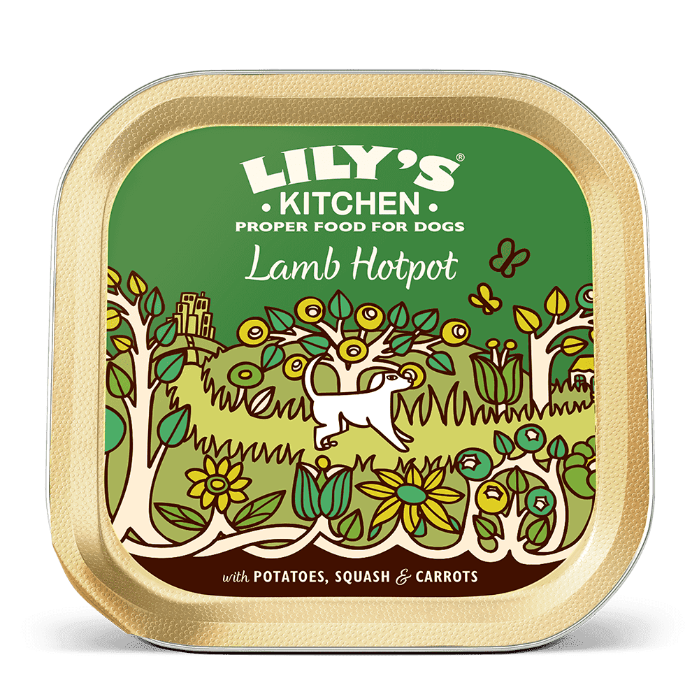 17146320971967054141.png Lily's Kitchen Lamb Hotpot Wet Dog Food (150g) - Image 1