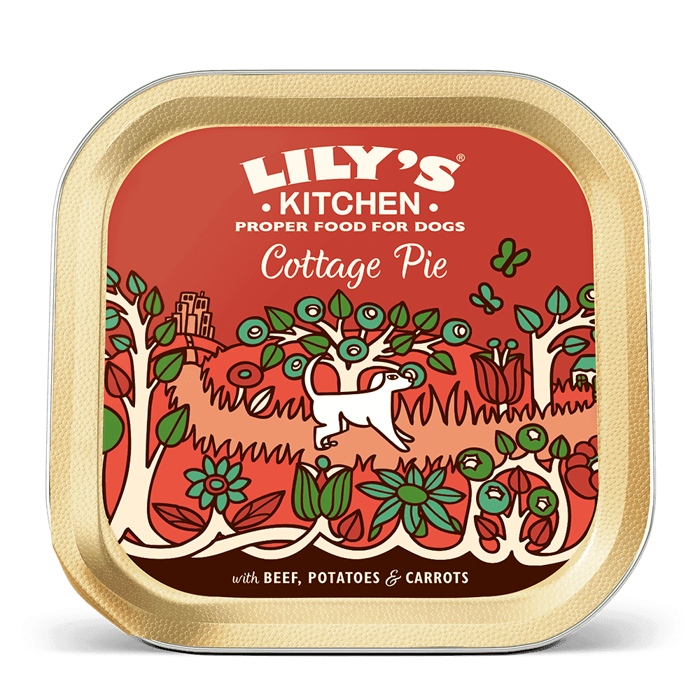 1714632125729950006.png Lily's Kitchen Dog Cottage Pie Wet Dog Food (150g) - Image 1