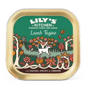 Lily's Kitchen Dog Tagine LAMB (150g)