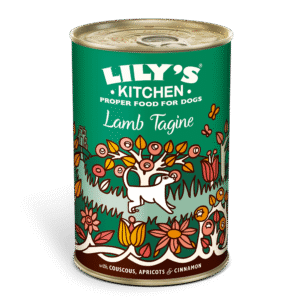 Lily's Kitchen Dog Tagine LAMB (400g)