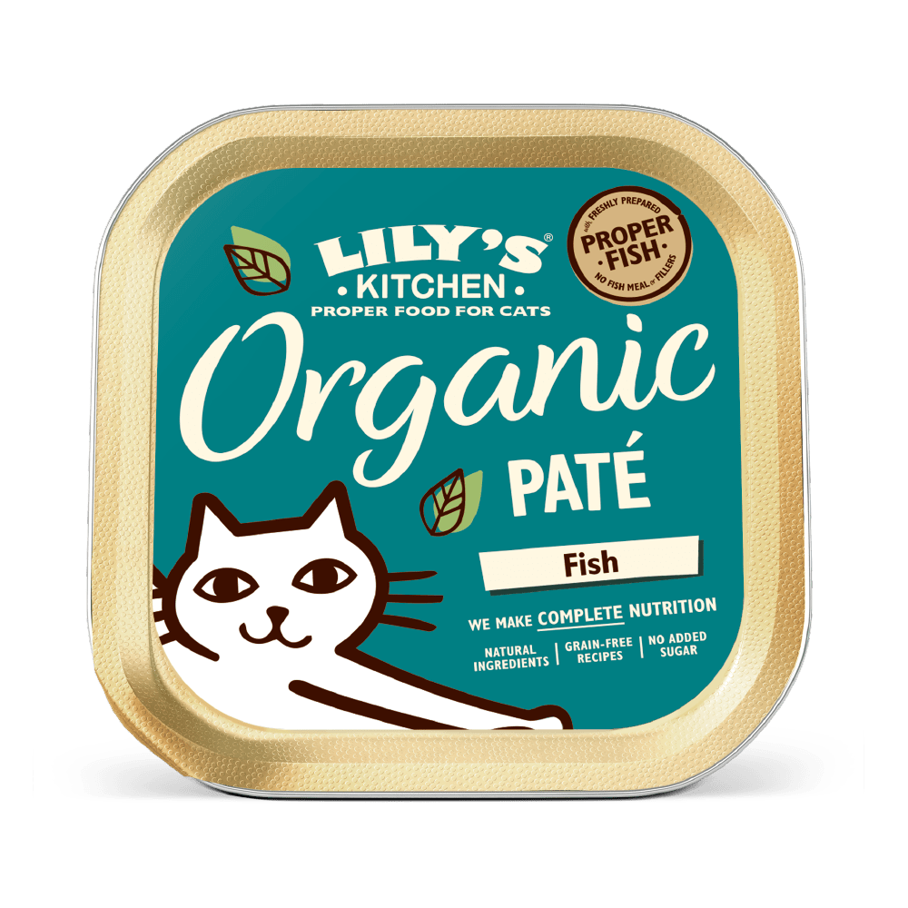 17146321931981663953.png Lily's Kitchen Organic Fish Dinner Wet Cat Food (85g) - Image 1