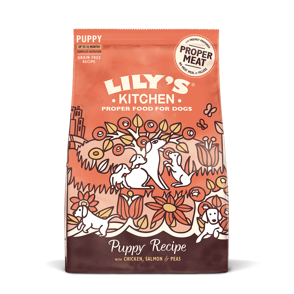 17310718321248637141.png Lily's Kitchen Free Run Chicken & Salmon Dry Puppy Food (7kg) - Image 1