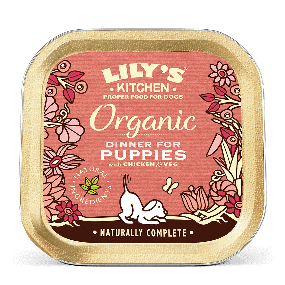 173107184511313134.png Lily's Kitchen Organic Dinner Wet Puppy Food (150g) - Image 1