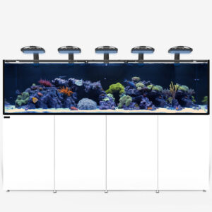 WaterBox REEF LX 380.8 + ALU 9630 White -(LxWxH): 2,448 x 750 x 650mm (96.4" Ã— 29.5" Ã— 25.6") Aquarium