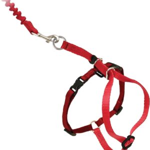 Pet Safe Easy Walk Cat Harness & Lead (Red, Small) Cat Harnesses