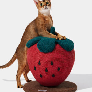VETRESKA Strawberry Cat Scratching Ball