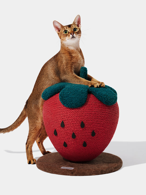 1756968931731840850.jpg VETRESKA Strawberry Cat Scratching Ball - Image 1