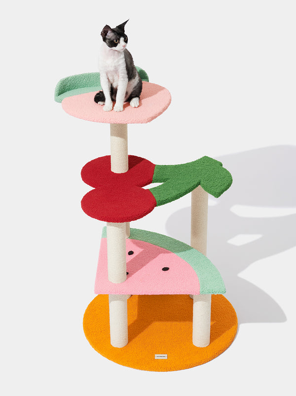 175696893235128370.jpg VETRESKA Fruit Frenzy Cat Climber - Image 1