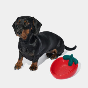 VETRESKA Strawberry Ceramic Pet Bowl