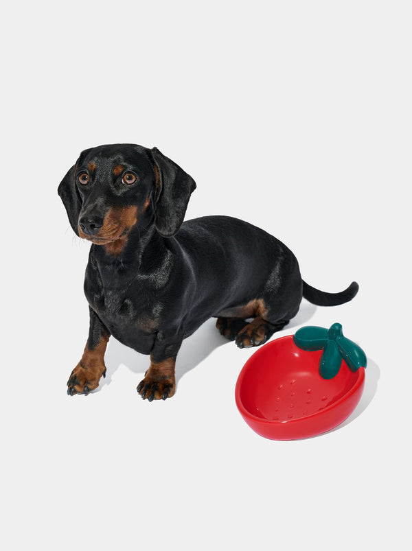 1756968936983332829.jpg VETRESKA Strawberry Ceramic Pet Bowl - Image 1