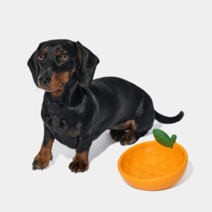 VETRESKA Tangerine Ceramic Pet Bowl