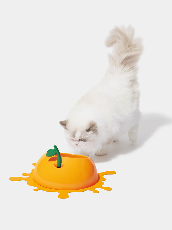175696893992153750.jpg VETRESKA Juicy Tangerine Pet Bowl, Spoon & Mat Set - Image 1