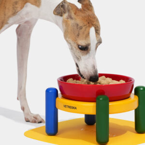 VETRESKA Chroma Pet Bowl & Mat Set (S)