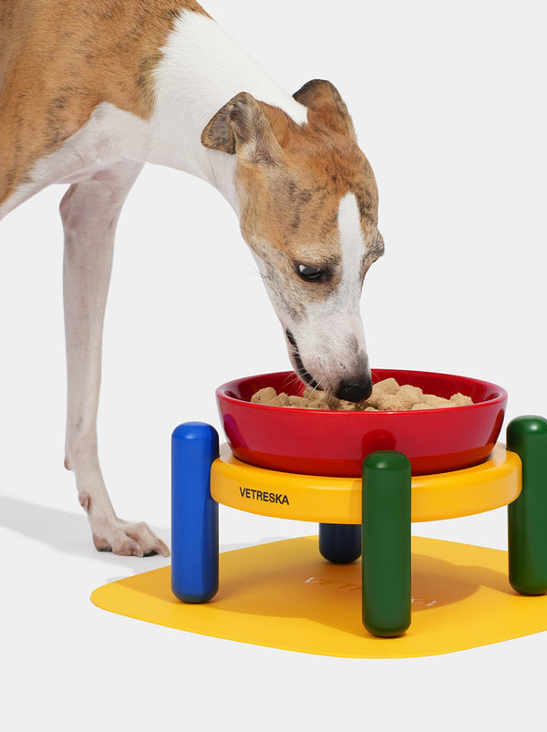 1756968941600787061.jpg VETRESKA Chroma Pet Bowl & Mat Set (S) - Image 1