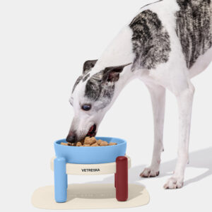 VETRESKA Mist and Merlot Pet Bowl & Mat Set (M)