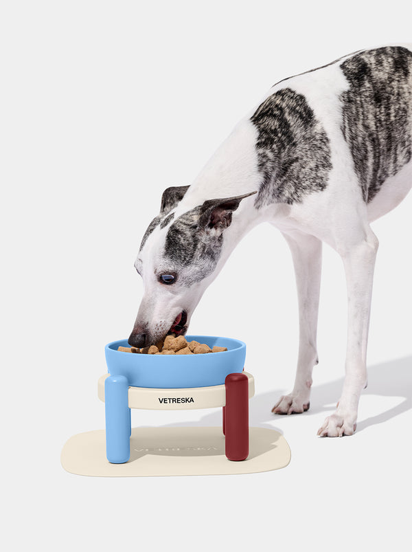 17569689431149757119.jpg VETRESKA Mist and Merlot Pet Bowl & Mat Set (M) - Image 1