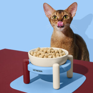 VETRESKA Mist and Merlot Pet Bowl & Mat Set (S)