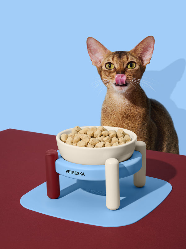 1756968943798883814.jpg VETRESKA Mist and Merlot Pet Bowl & Mat Set (S) - Image 1