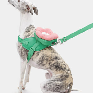 VETRESKA Flora Pet Backpack & Harness 3 in 1 Set (XXS)