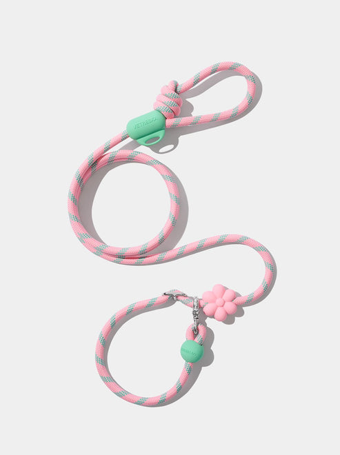 175696895911130864.jpg VETRESKA Connect Hands-Free Rope Leash for Pets (Flora) - Image 1