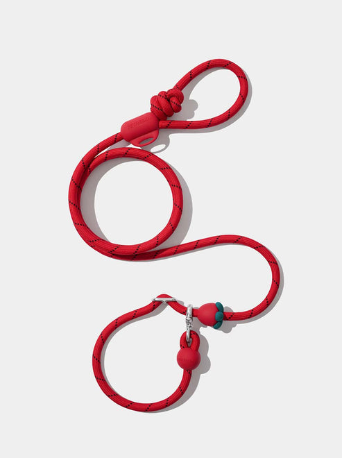 1756968963793613209.jpg VETRESKA Connect Hands-Free Rope Leash for Pets (Strawberry) - Image 1