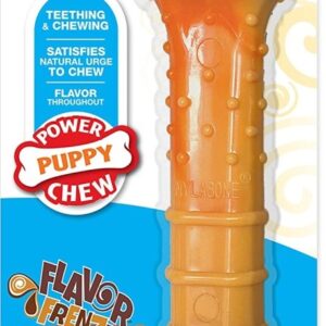 Nylabone Puppy Power Chew, Beef Broth & Veggies Giant