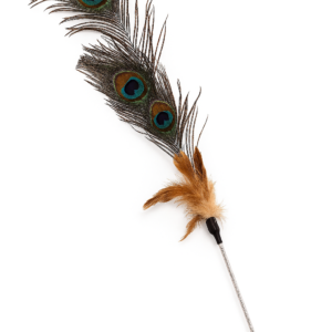 Nutrapet Peek A Boo Cat Wand