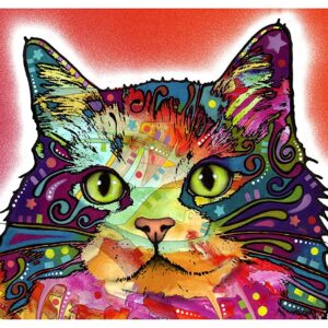 Dry Mate Placement Mats For Cats Ragamuffin 12 X 20 Inches