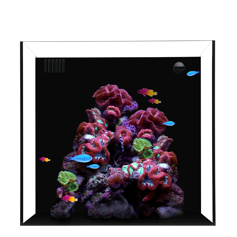 main-1015.jpg Waterbox CUBE 10 + With Pump L 35 Cm W 36 Cm H 35 Cm - Image 1