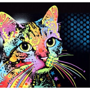 Dry Mate Placement Mats For Cats Catillac New 12 X 20 Inches