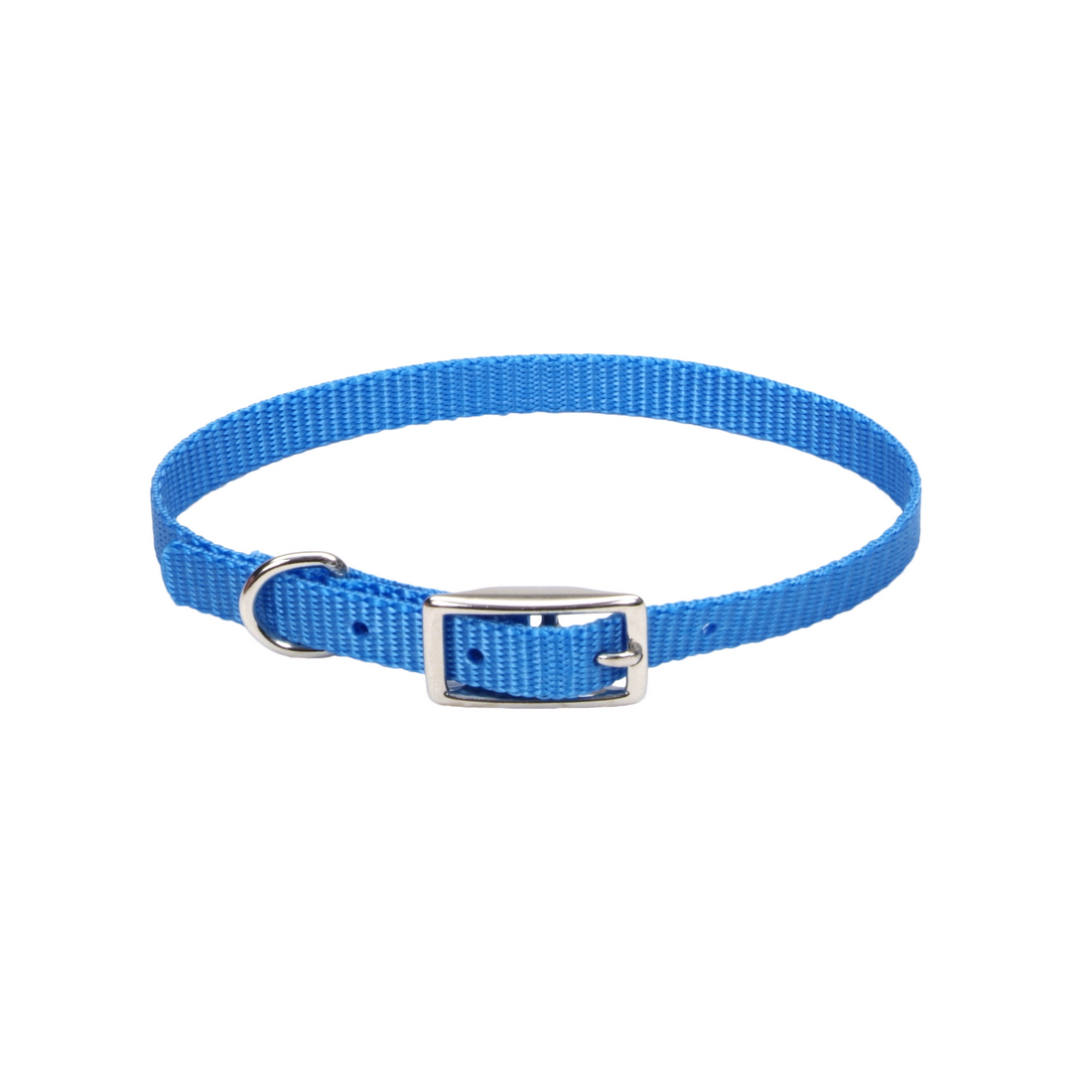 main-1047.jpg Coastal 3 and Safety Cat Collar Blue - Image 1