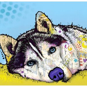 Dry Mate Placement Mats For Dogs Siberian Husky 16 X 28 Inches