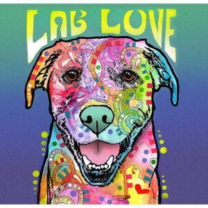 Dry Mate Placement Mats For Dogs Lab Love 16 X 28 Inches