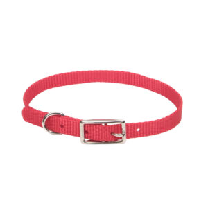 Coastal 3 and Safety Cat Collar Red
