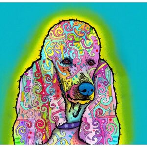 Dry Mate Placement Mats For Dogs Poodle 16 X 28 Inches