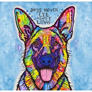 Dry Mate Placement Mats For Dogs Dogs Never Lie 16 X 28 Inches
