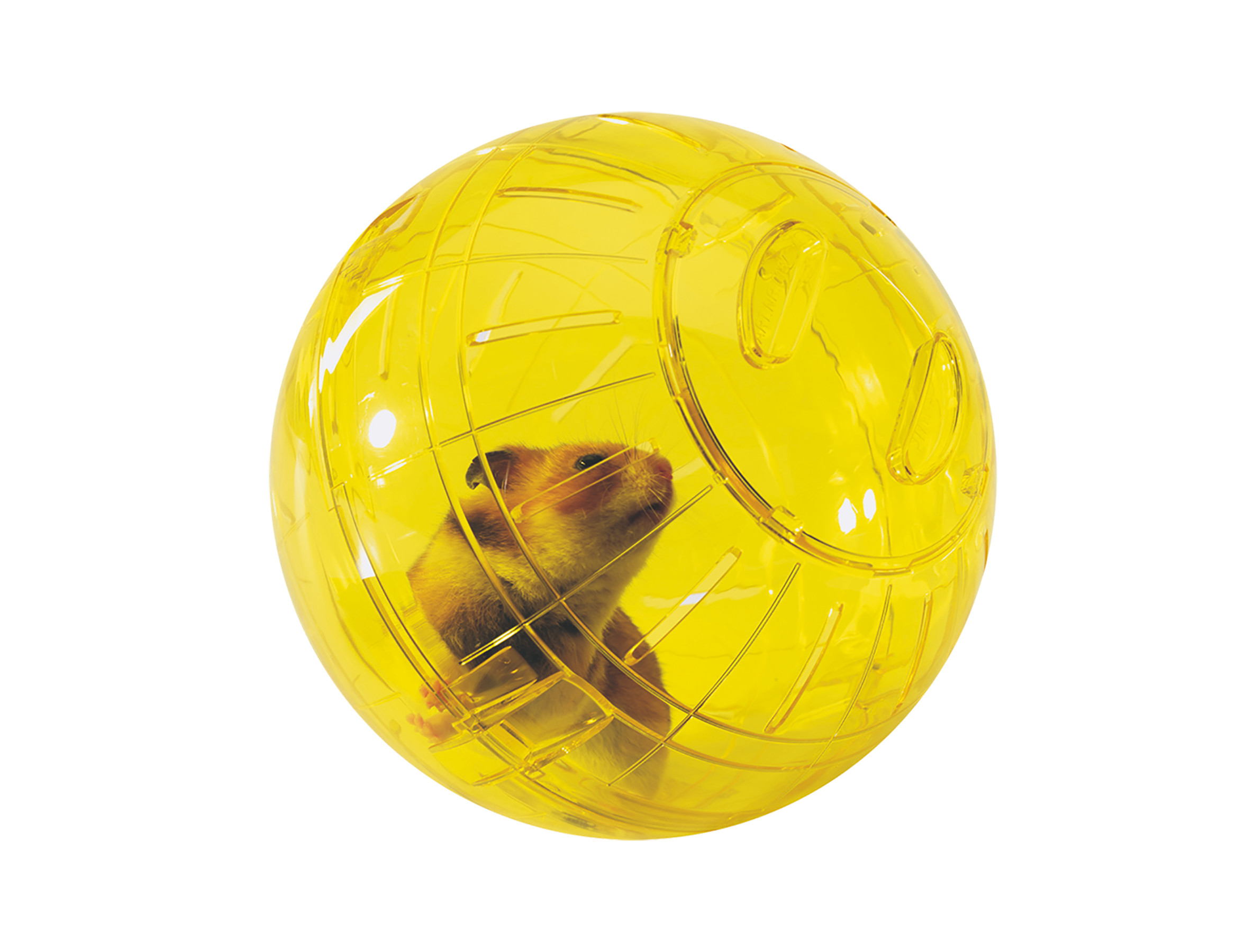 main-135.jpg VADIGRAN Runner hamster 18 cm M - Image 1