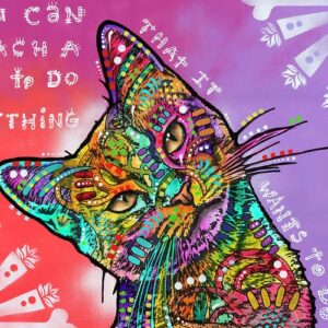 Drymate Mats For Cats Teach A Cat 12 X 20 Inch/30 Cms X 50 Cms