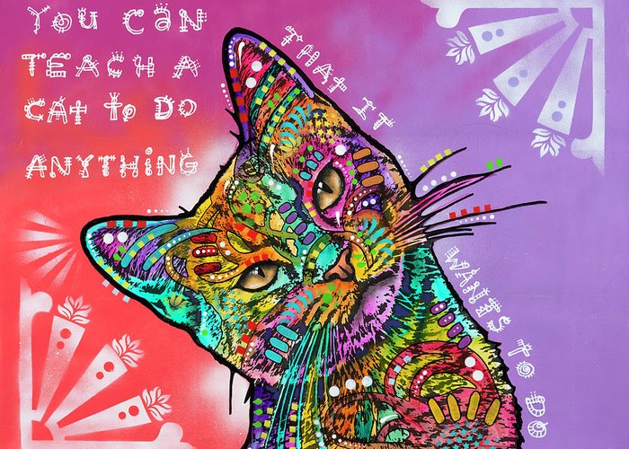 main-150.jpg Drymate Mats For Cats Teach A Cat 12 X 20 Inch/30 Cms X 50 Cms - Image 1
