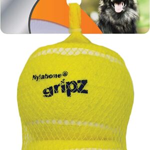 Nylabone Play Tennis Ball LG 2pk 3.5in