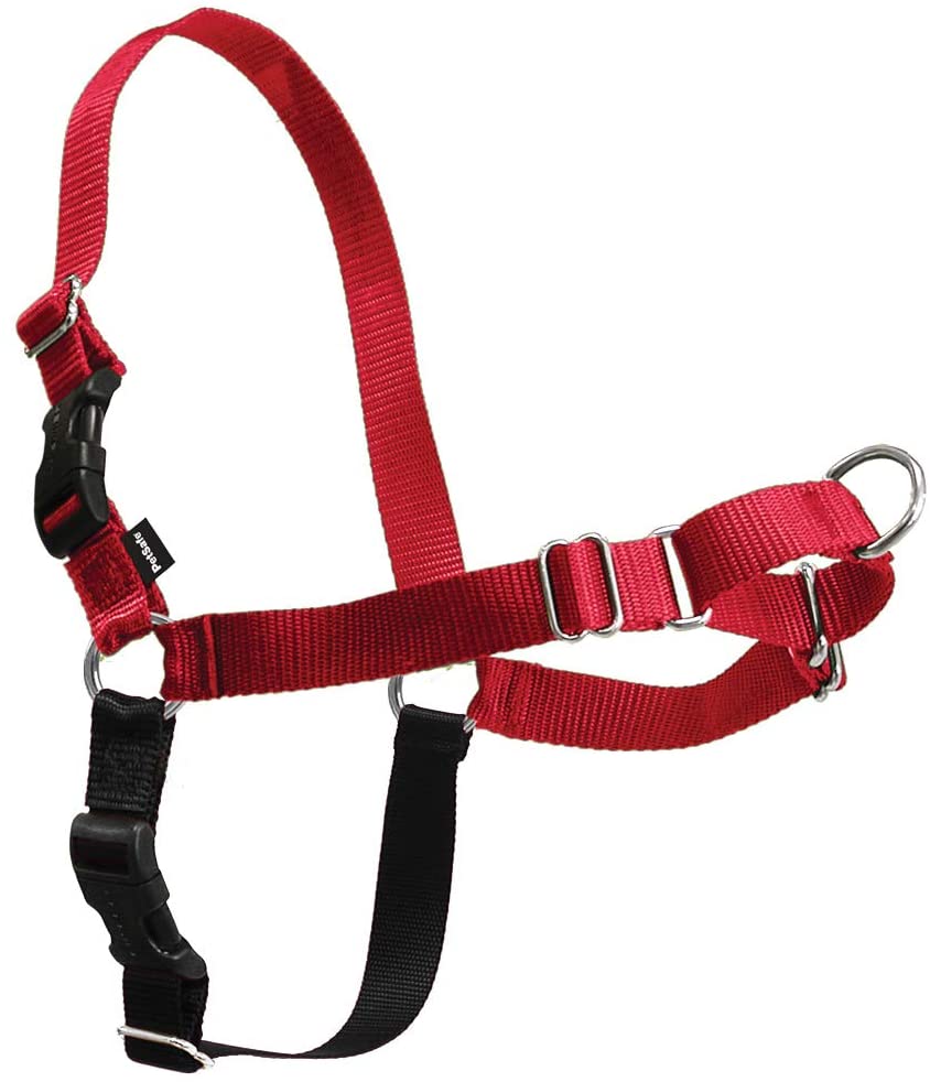 main-205.jpg PETSAFE EASY WALK HARNESS MEDIUM RED ROHS - Image 1