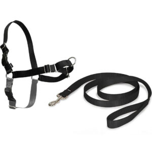 Pet Safe Easy Walk Harness (Medium, Black) Easy Walk Harness