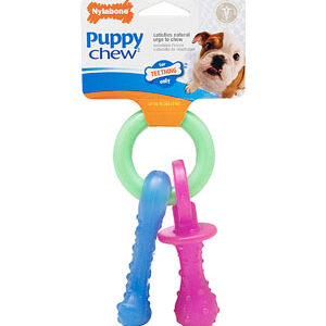 Nylabone Puppy Chew Teething Pacifier X-Small