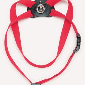 Coastal 3 4 and Size Right Harness Medium Red