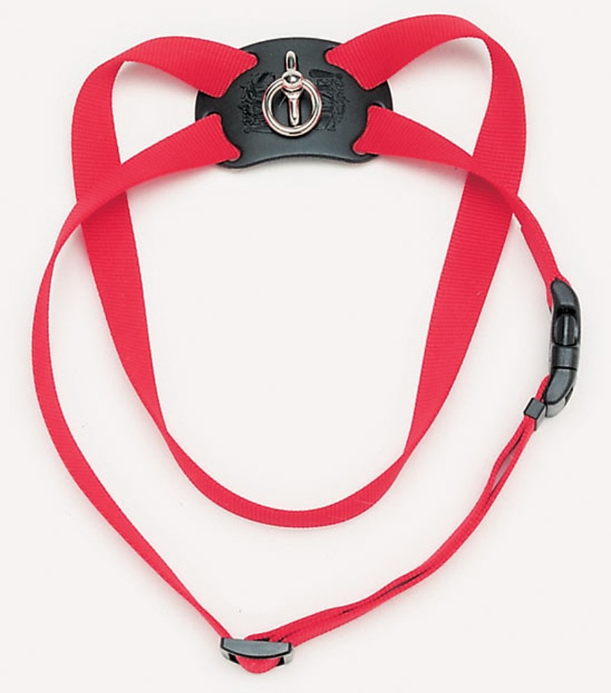 main-260.jpg Coastal 3 4 and Size Right Harness Medium Red - Image 1